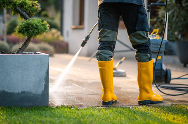 Best Roof Power Washing Services  in New Boston, TX